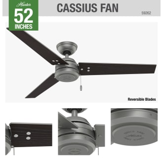 A thumbnail of the Hunter Cassius 52 Hunter 59262 Cassius Ceiling Fan Details