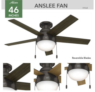 A thumbnail of the Hunter Anslee Low Profile Hunter 59268 Anslee Ceiling Fan Details