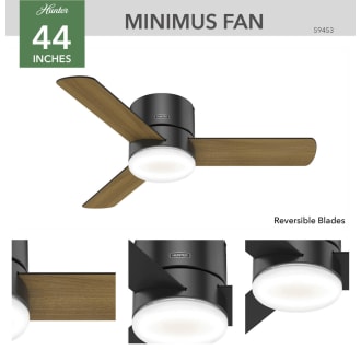 A thumbnail of the Hunter MINIMUS 44 LED LOW PROFILE Hunter 59453 Minimus Ceiling Fan Details