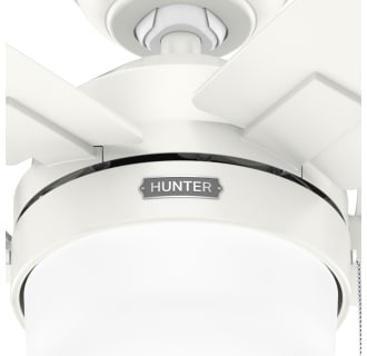 A thumbnail of the Hunter Anisten 52 LED Alternate Image