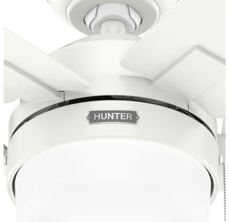 A thumbnail of the Hunter Anisten 52 LED ES Alternate Image