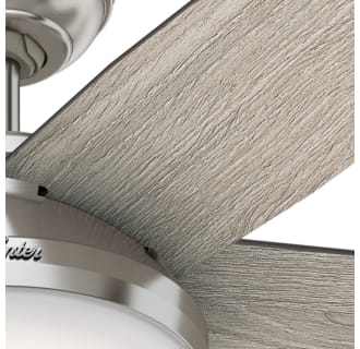 A thumbnail of the Hunter Avia II 52 LED Blade View