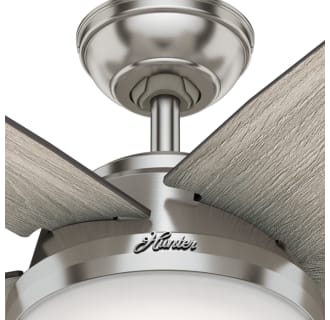 A thumbnail of the Hunter Avia II 52 LED Housing View