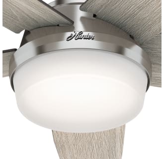 A thumbnail of the Hunter Avia II 52 LED Light Kit View