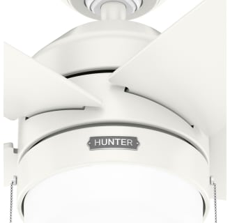 A thumbnail of the Hunter Bardot 44 LED Alternate Image