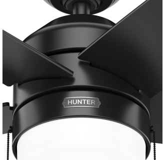 A thumbnail of the Hunter Bardot 44 LED Alternate Image
