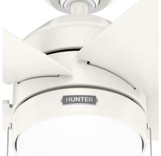 A thumbnail of the Hunter Bardot 52 LED Alternate Image