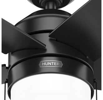 A thumbnail of the Hunter Bardot 52 LED Alternate Image