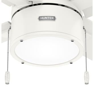 A thumbnail of the Hunter Beck 52 LED Alternate Image