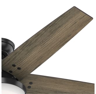 A thumbnail of the Hunter Brenham 52 LED Blade View