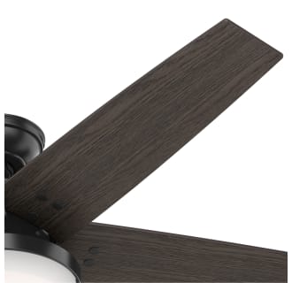 A thumbnail of the Hunter Brenham 52 LED Blade View