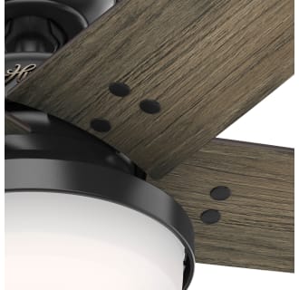 A thumbnail of the Hunter Brenham 52 LED Blade View