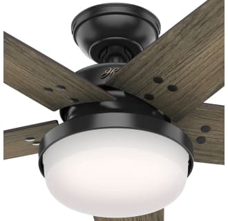 A thumbnail of the Hunter Brenham 52 LED Body View