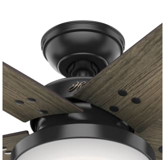 A thumbnail of the Hunter Brenham 52 LED Housing View