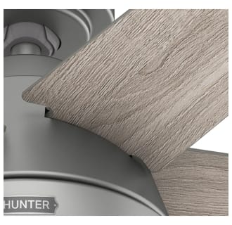 A thumbnail of the Hunter Burroughs 44 LED Alternate Image