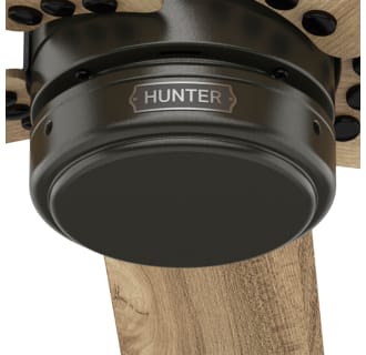 A thumbnail of the Hunter Burton 52 Alternate Image