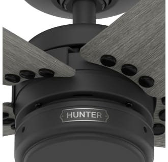 A thumbnail of the Hunter Burton 52 Alternate Image