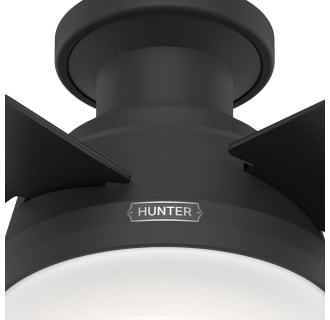 A thumbnail of the Hunter Dempsey 44 LED Low Profile Alternate Image