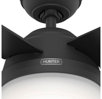 A thumbnail of the Hunter Dempsey 52 LED Alternate Image