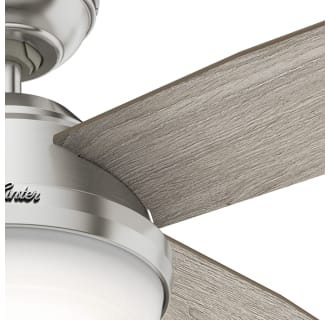 Hunter Dempsey 52 LED - Build.com