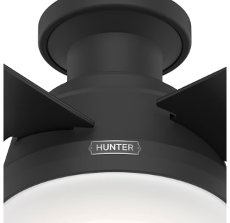 A thumbnail of the Hunter Dempsey 52 LED Low Profile Alternate Image