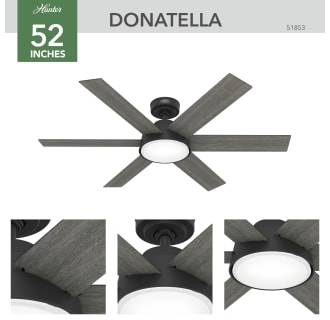 A thumbnail of the Hunter Donatella 52 LED Alternate Image