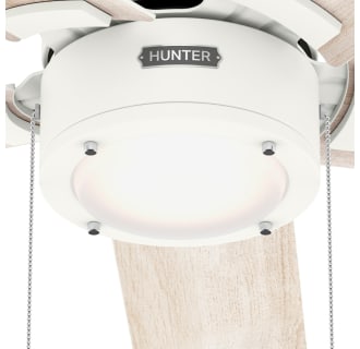 A thumbnail of the Hunter Erling 44 LED Alternate Image