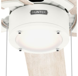 A thumbnail of the Hunter Erling 52 LED Alternate Image