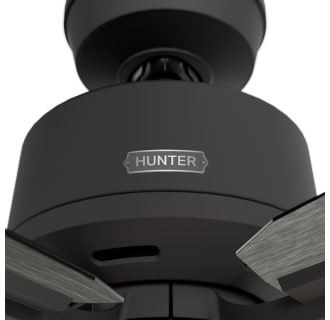 A thumbnail of the Hunter Gatlinburg 52 LED Alternate Image