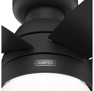 A thumbnail of the Hunter Lilliana 44 LED Alternate Image