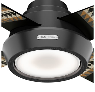 A thumbnail of the Hunter Pendleton 54 LED Light Kit