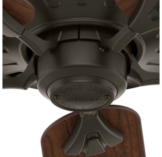 A thumbnail of the Hunter Royal Oak 60 Light Kit Cap View