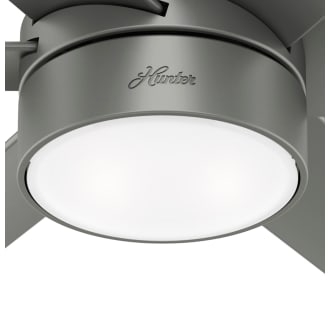 A thumbnail of the Hunter Solaria 60 LED Light Kit View