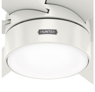A thumbnail of the Hunter Solaria 72 LED Alternate Image