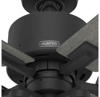 A thumbnail of the Hunter Techne 52 LED Alternate Image