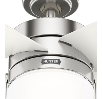 A thumbnail of the Hunter Timpani 52 LED Hanging Alternate Image