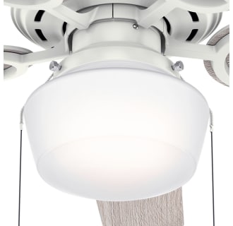 A thumbnail of the Hunter Viola 52 LED Fan Light Kit - Fresh White