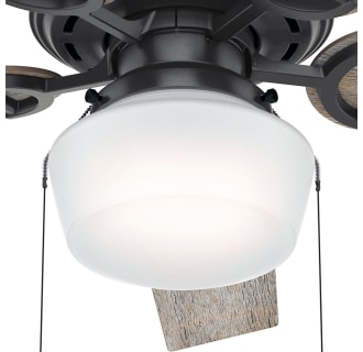 A thumbnail of the Hunter Viola 52 LED Fan Light Kit - Noble Bronze