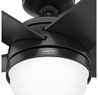 A thumbnail of the Hunter Yuma 52 LED Alternate Image