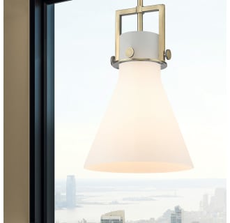 A thumbnail of the Innovations Lighting 411-1SM-14-10 Newton Cone Pendant Alternate Image