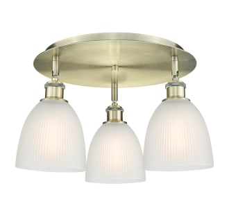 A thumbnail of the Innovations Lighting 516-3C-10-18 Castile Flush Alternate Image