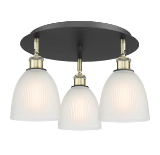 A thumbnail of the Innovations Lighting 516-3C-10-18 Castile Flush Alternate Image