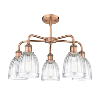 A thumbnail of the Innovations Lighting 516-5CR-15-24 Brookfield Chandelier Alternate image