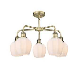 A thumbnail of the Innovations Lighting 516-5CR-15-24 Norfolk Chandelier Alternate image