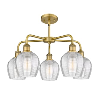 A thumbnail of the Innovations Lighting 516-5CR-15-24 Norfolk Chandelier Alternate image