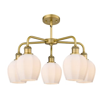 A thumbnail of the Innovations Lighting 516-5CR-15-24 Norfolk Chandelier Alternate image