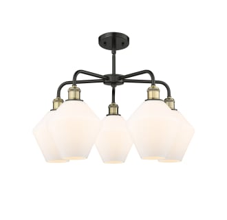 A thumbnail of the Innovations Lighting 516-5CR-17-26 Cindyrella Chandelier Alternate image