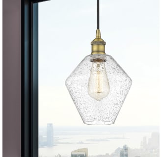 A thumbnail of the Innovations Lighting 616-1P-11-8 Cindyrella Pendant Alternate Image