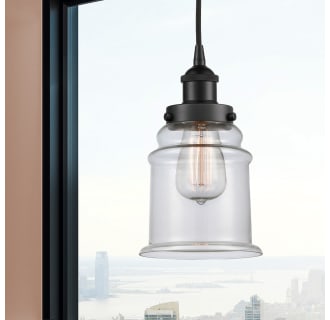 A thumbnail of the Innovations Lighting 616-1PH-11-6 Canton Pendant Alternate Image