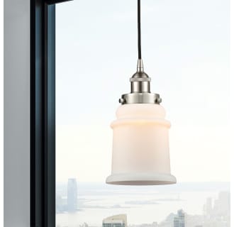 A thumbnail of the Innovations Lighting 616-1PH-11-6 Canton Pendant Alternate Image